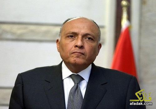وزير الخارجية المصري سامح شكري